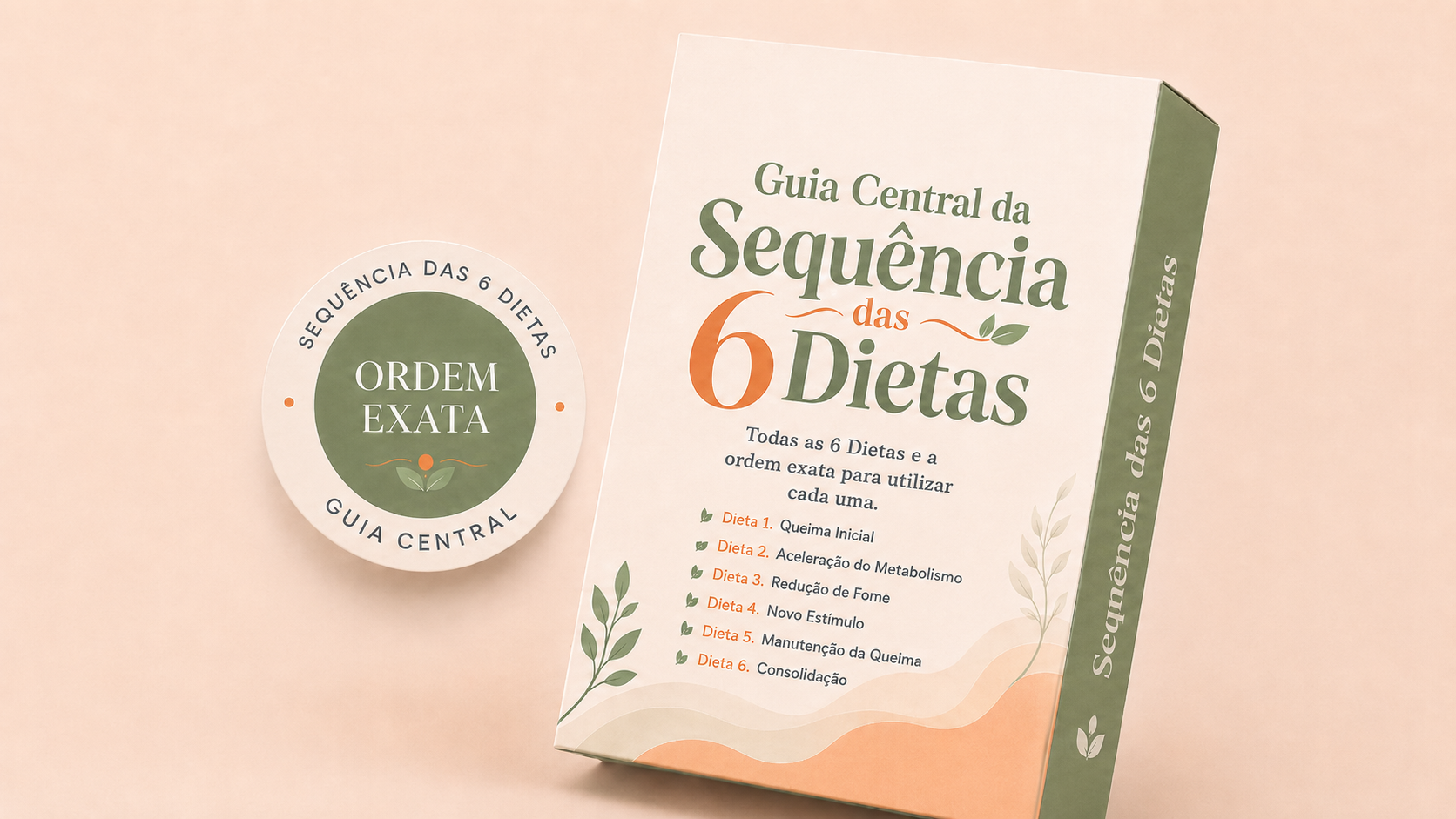 Guia Central da Sequência das 6 Dietas